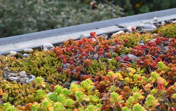 the cost of Bridge Of Gaur green roof installation